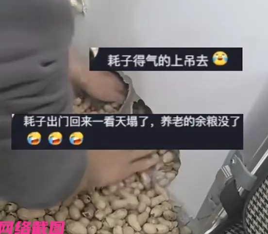 河北唐山某处有家农资店老板，老是查到自己店内的花生种子数量有出入，这让老板心里狐