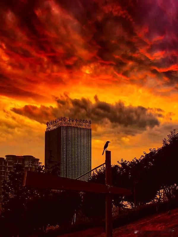 七绝律诗需要对仗吗?七绝和律诗在对仗要求上差别很大。七绝分律绝和古绝。律绝要