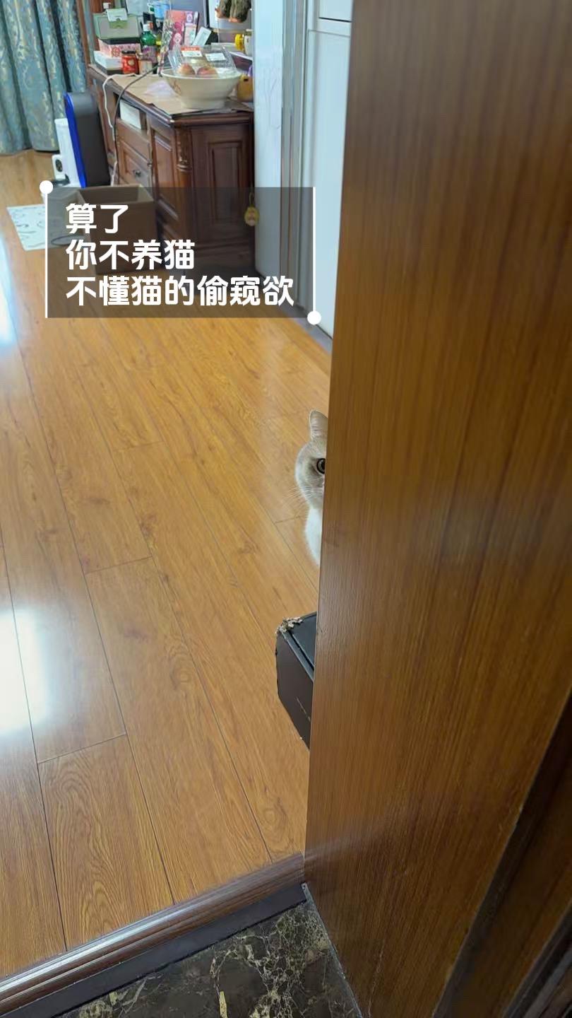 无论何时，永远有两只眼睛盯着你