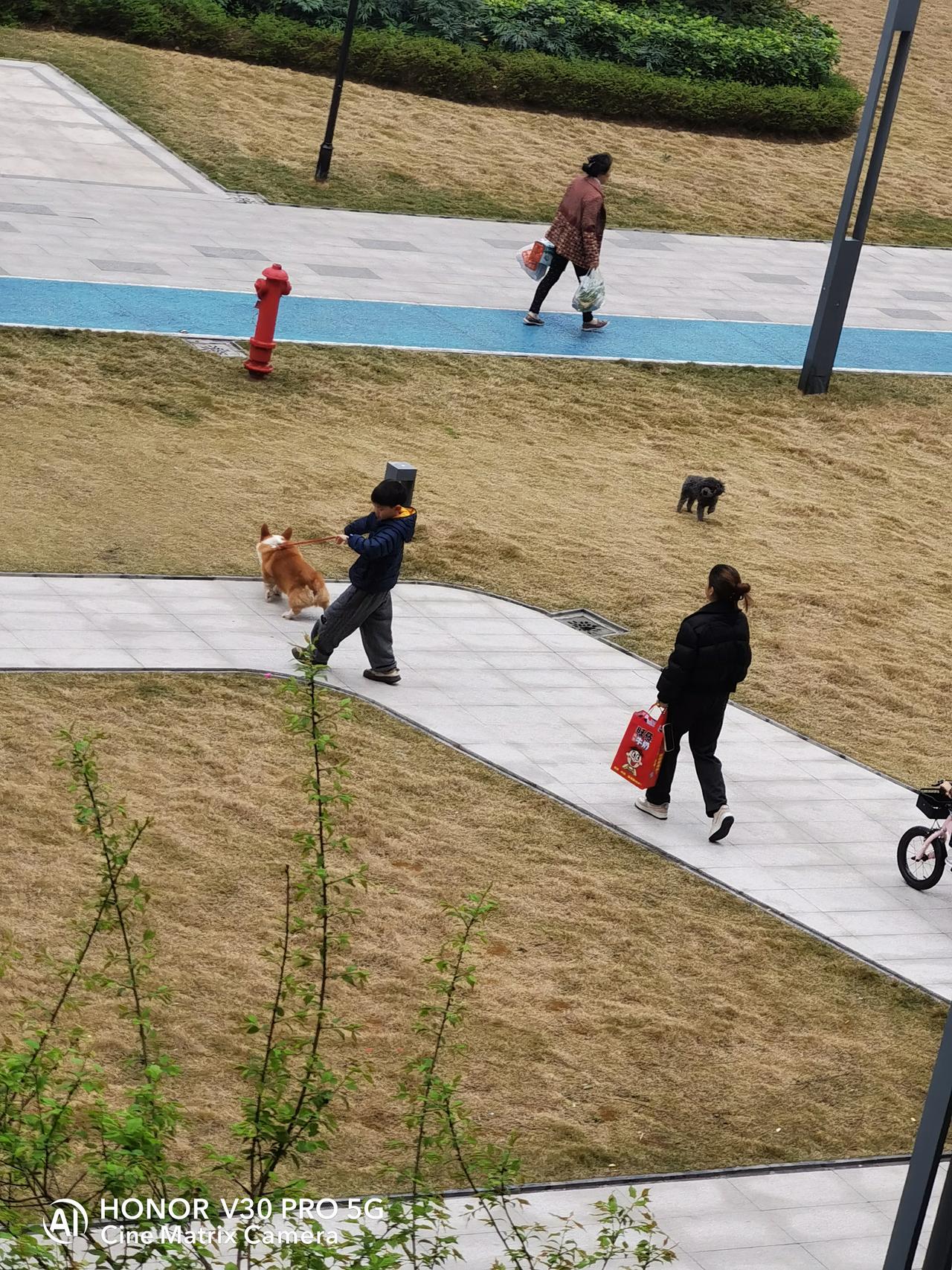 外卖员送单途中身亡，家属获赔103万！这通判决撕开了多少骑手的“保护伞”漏洞？