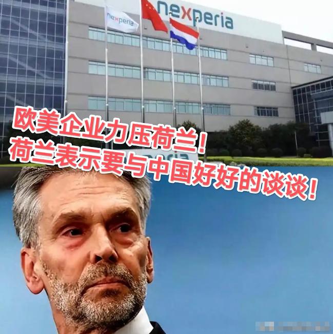 中方反制7天后，欧美汽车大厂找上门了，荷兰政府表示：要与中国好好谈谈，确保欧美