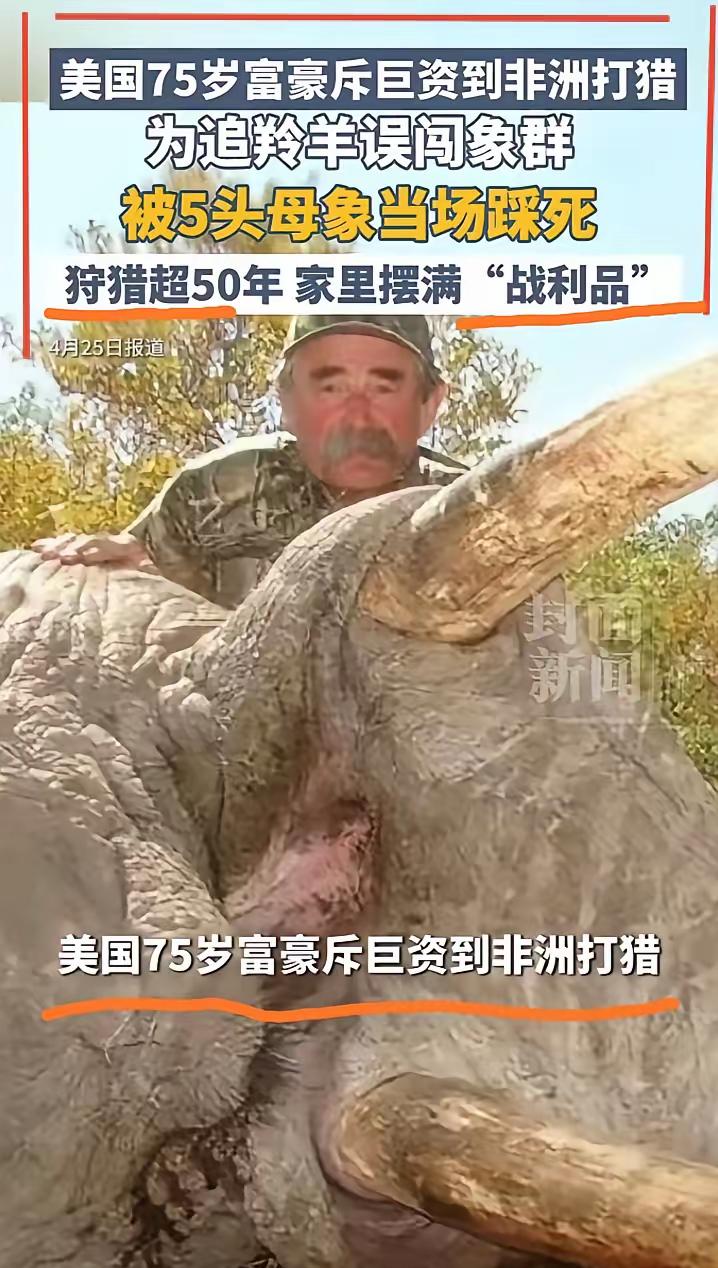 据权威媒体报道。有五十多年“狩猎”经验的多西奥，为此次狩猎进行了充分准备。斥