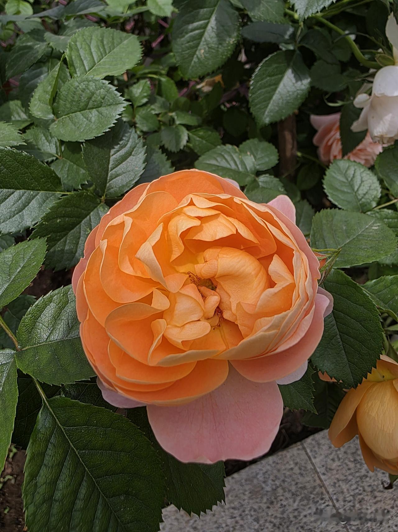 通透：济南一位62岁大哥，跟女儿女婿交代后事，他是这样说的……不管你们愿不愿