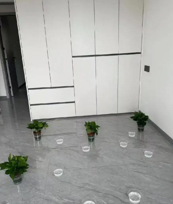 家人们，我快愁死了！为了孩子上学买的学区房，装修完才三个来月。我天天敞开窗户通风