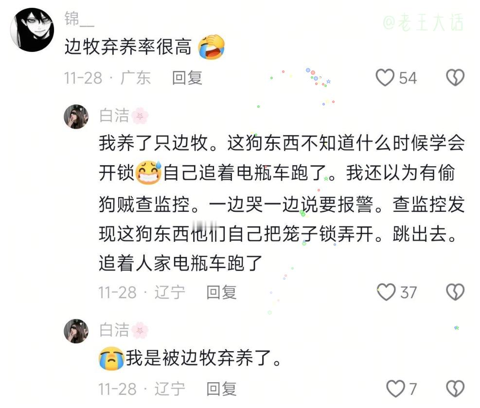 我家狗会开冰箱，服了！