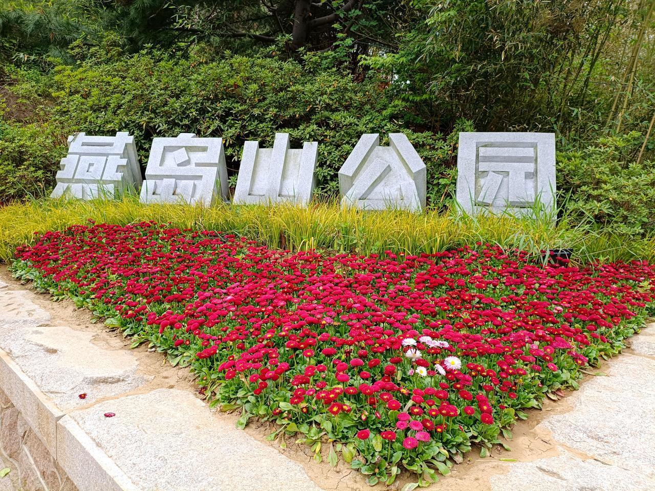 上午想去海边走走，每当心情不佳就海边站站，看着一望无际的大海，心胸开阔了许多。