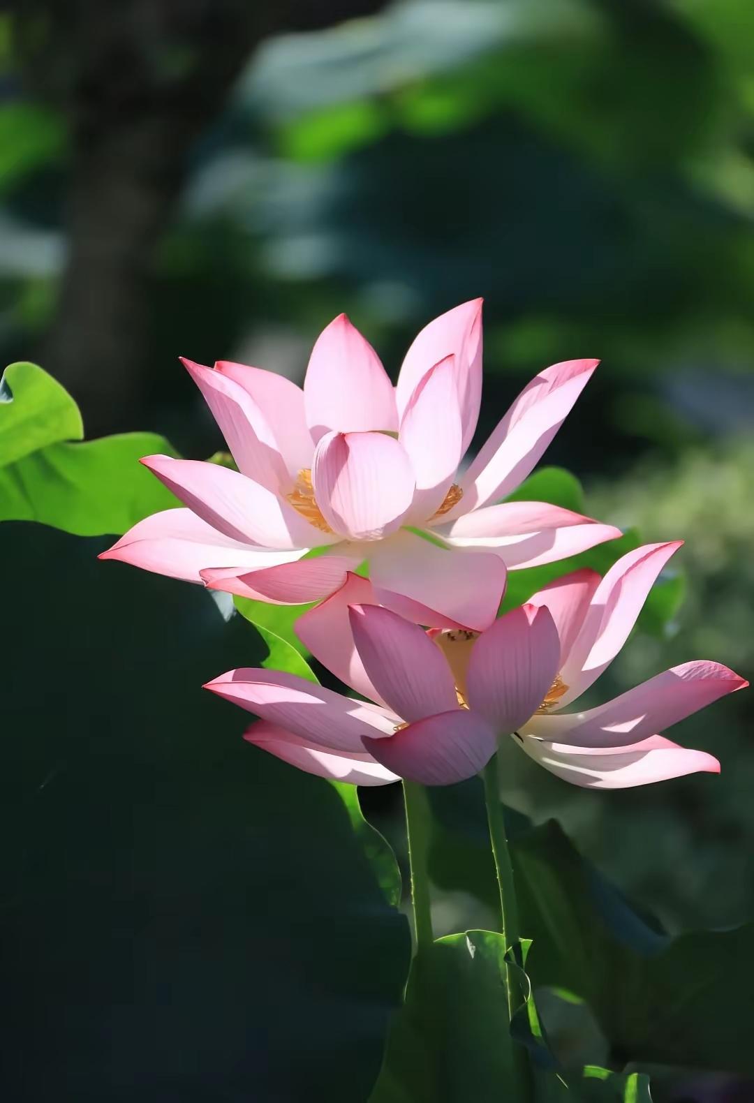 退休后，最大的幸福莫过于拥有这8点1. 一副健朗的身板：无大病缠身，能走能