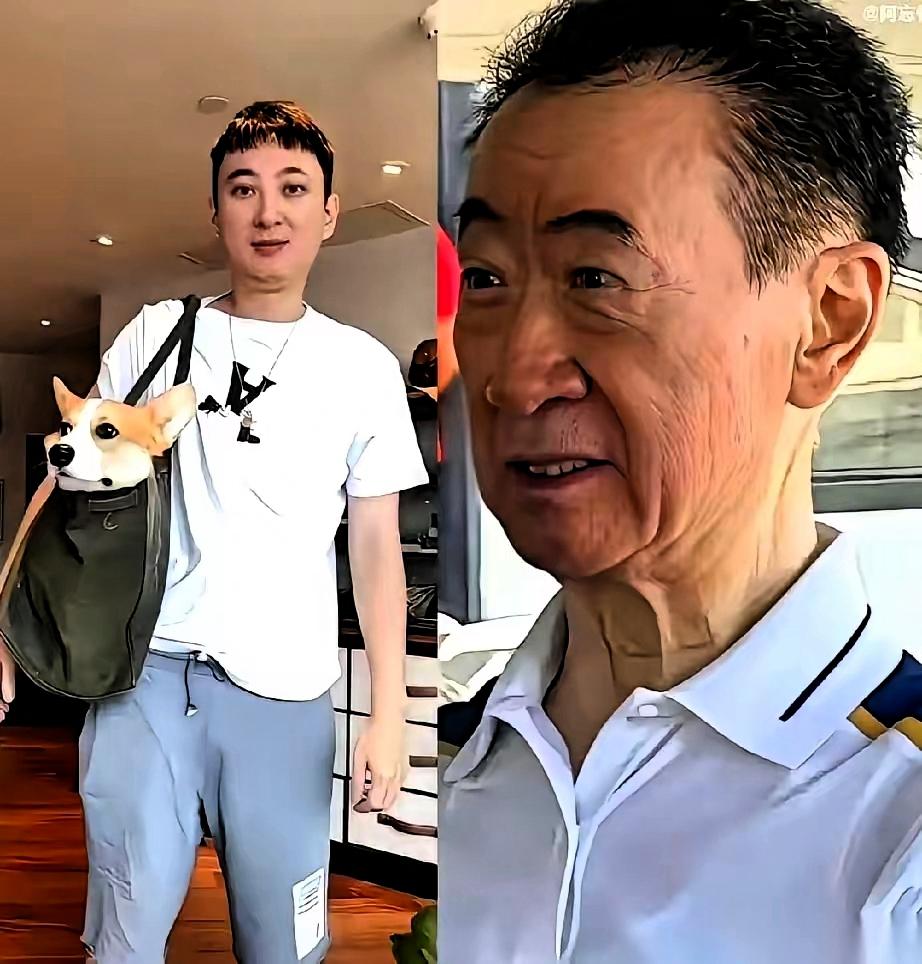 骂王思聪“败家”多年，原来我们才是没看懂的人以前总跟着骂王思聪只会花钱，现
