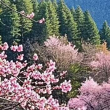 –九寨沟九寨沟就像是大自然遗落在人间的一颗璀璨明珠，那里的湖水五彩斑斓，像打翻了