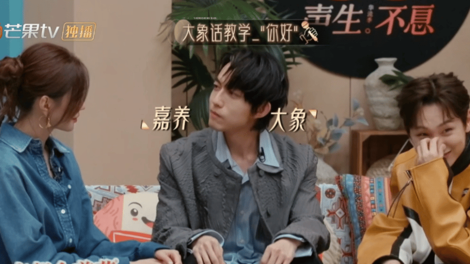 林宥嘉没有接受采访的义务沈梦辰的采访，林宥嘉的综艺秀！用“大象话”回答千字心情