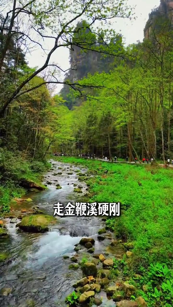 张家界会惩罚每一个不听劝的人。张家界会惩罚每一个不听劝的人。·第一、不听劝的