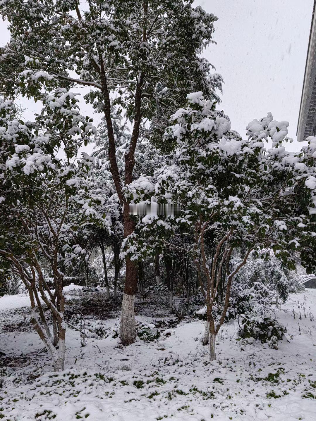 两年前的今天南京的大雪