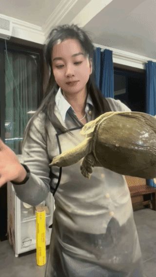 幸亏手快，否则她就只有哭的份儿！