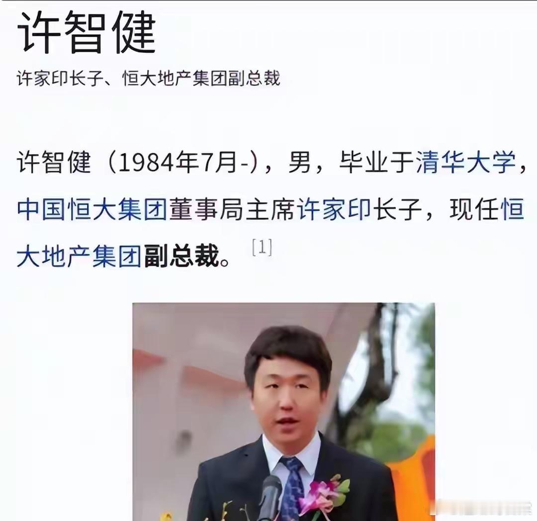 拔出萝卜带出泥！上一个许家印两个儿子也双双获有期，昔日身世有多显赫