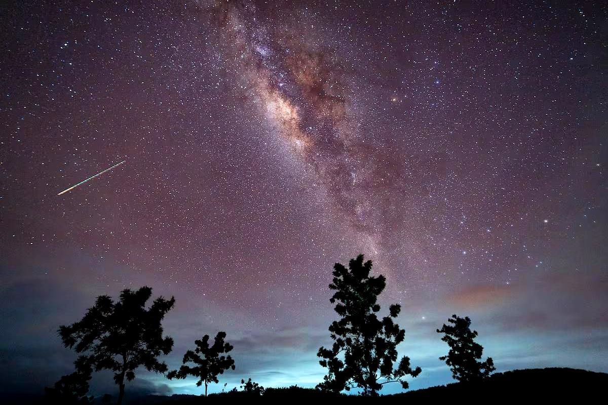 咱们这满身的细胞，难道真是几十亿年前宇宙送来的“外卖”？西班牙科学家最近在2.