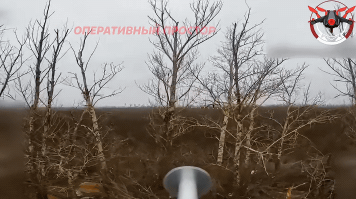 倒霉！一名乌军士兵正在树上维修设备，结果好巧不巧！被俄军的无人机发现了。俄军无人