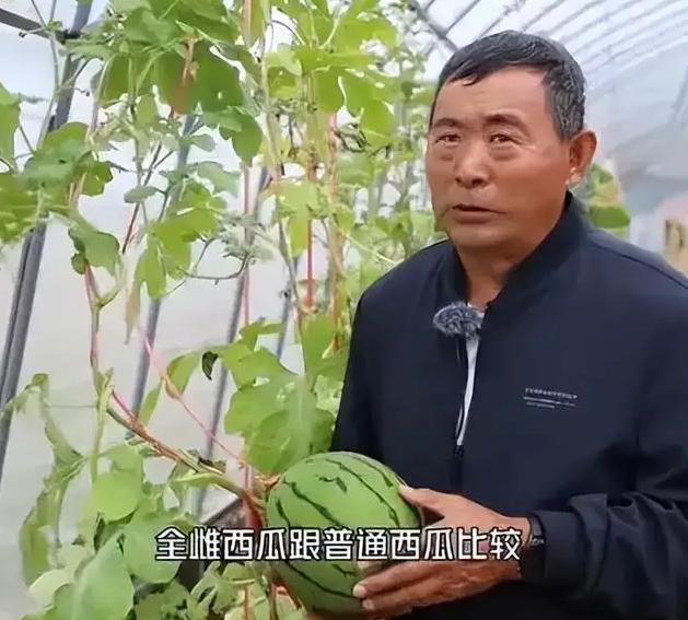 一个连字都不认，没上过大学的农民姜向涛，竟然攻克了难道美国、日本众多专家研究十几