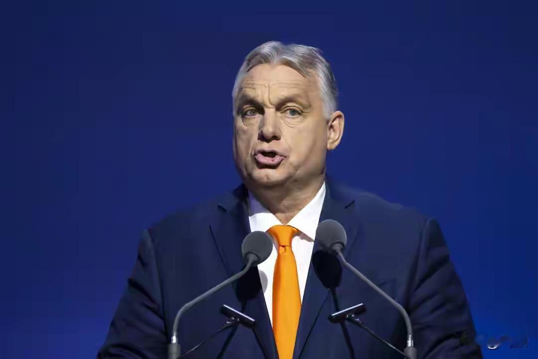 欧盟炸锅！匈牙利150万欧元转投黎巴嫩，直言乌克兰有腐败黑洞。恐怕没黑洞也不能再