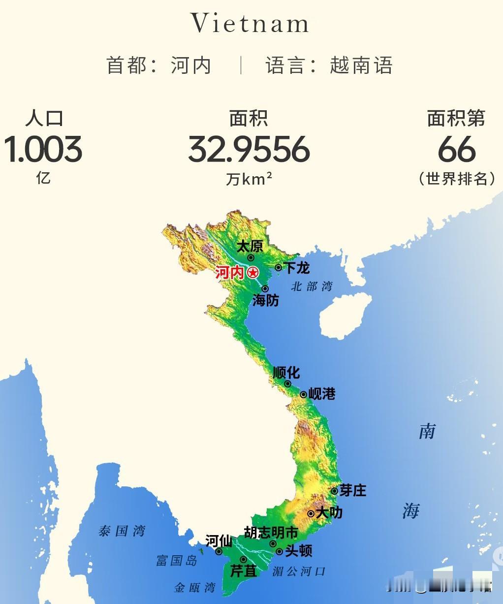 越南就是个小国家，根本谈不上产业结构完整，就算只想靠少数几个产业拔尖发展，再走政