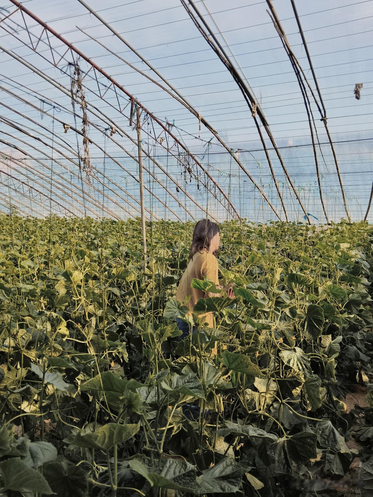她出门五天，今天早上来到我身前，深情地说，给你说两个事儿，我出去这几天。一，你