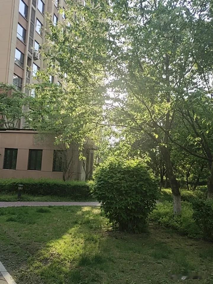 很多食材不焯水=悄悄伤身！这10种家常菜下锅前千万别省一步：1. 芹