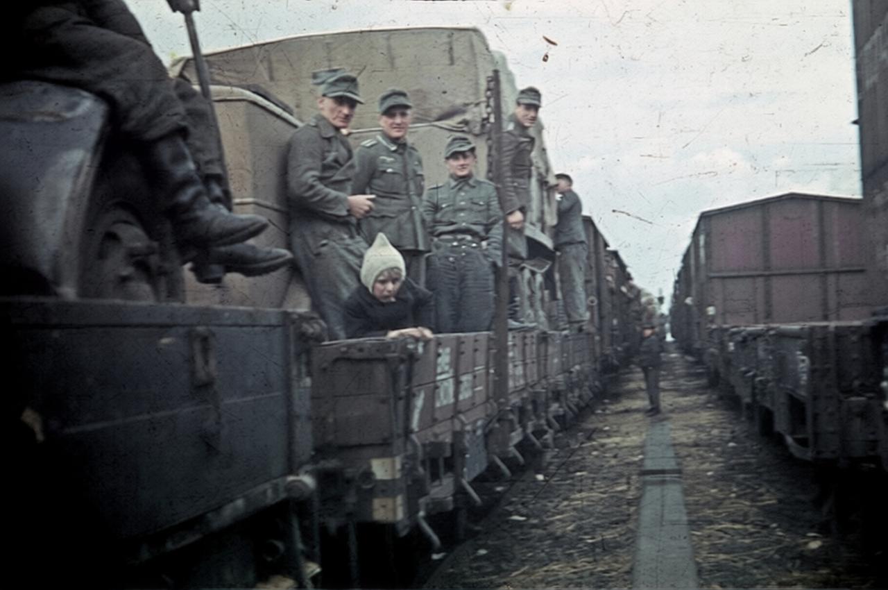 1944年，在布良斯克与科诺托普之间的这片区域，苏德战场的激战仍在持续。这里地