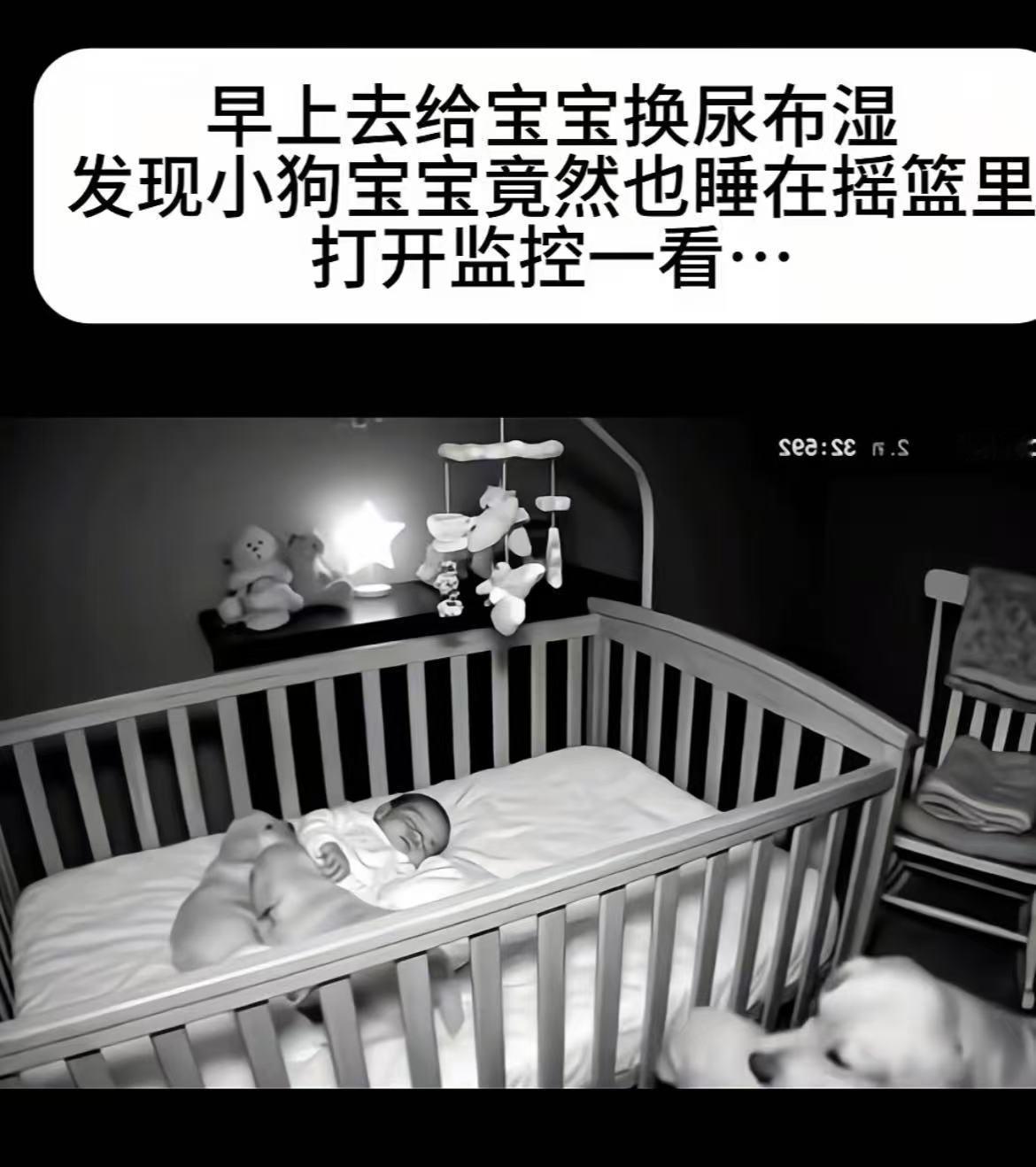 彻底解释不清楚了！女子早上起来给宝宝换尿不湿时，发现家里的小狗也睡在摇篮里！可是