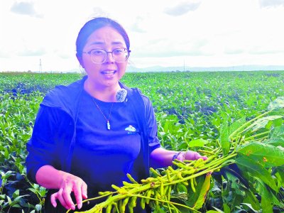 龙江沃野上, 满是科技范儿