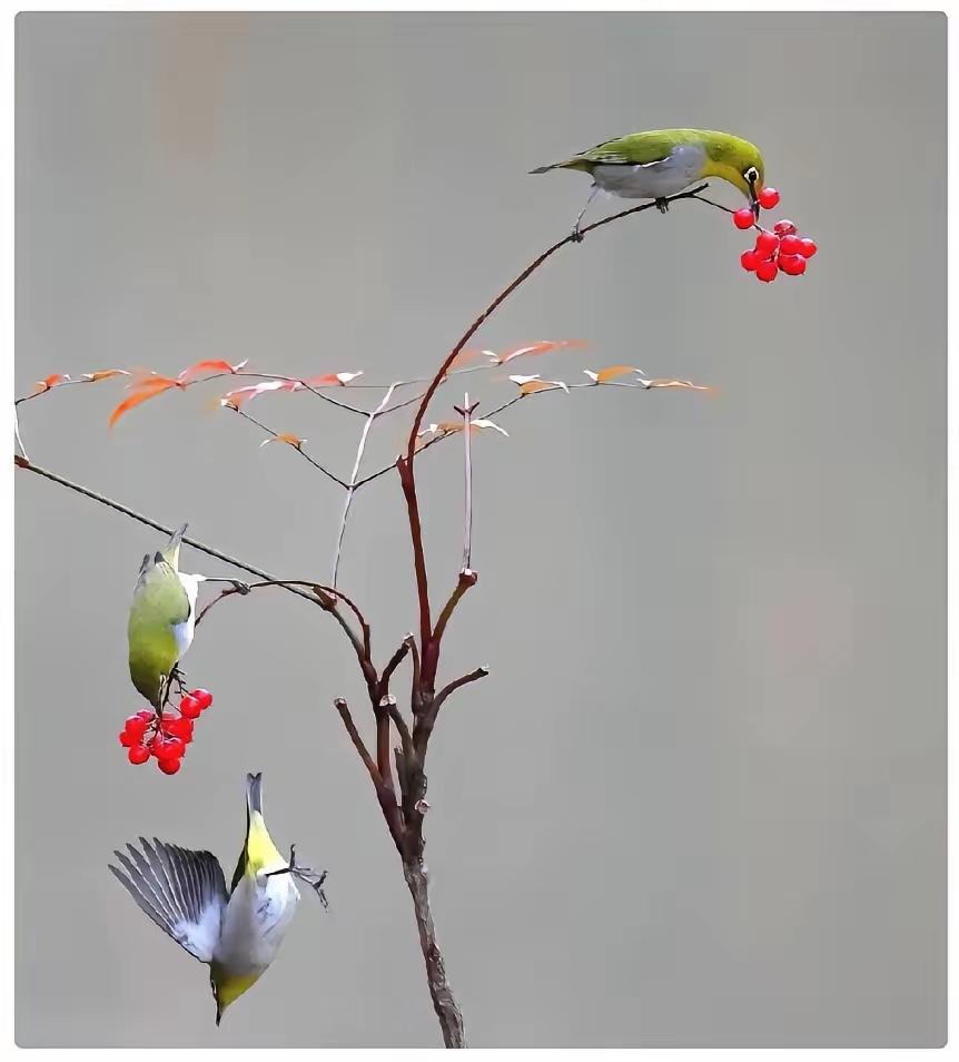 一段特别扎心的实话：只要你贴身伺候过生活不能自理的老人，不用俩月，你就会彻底看透