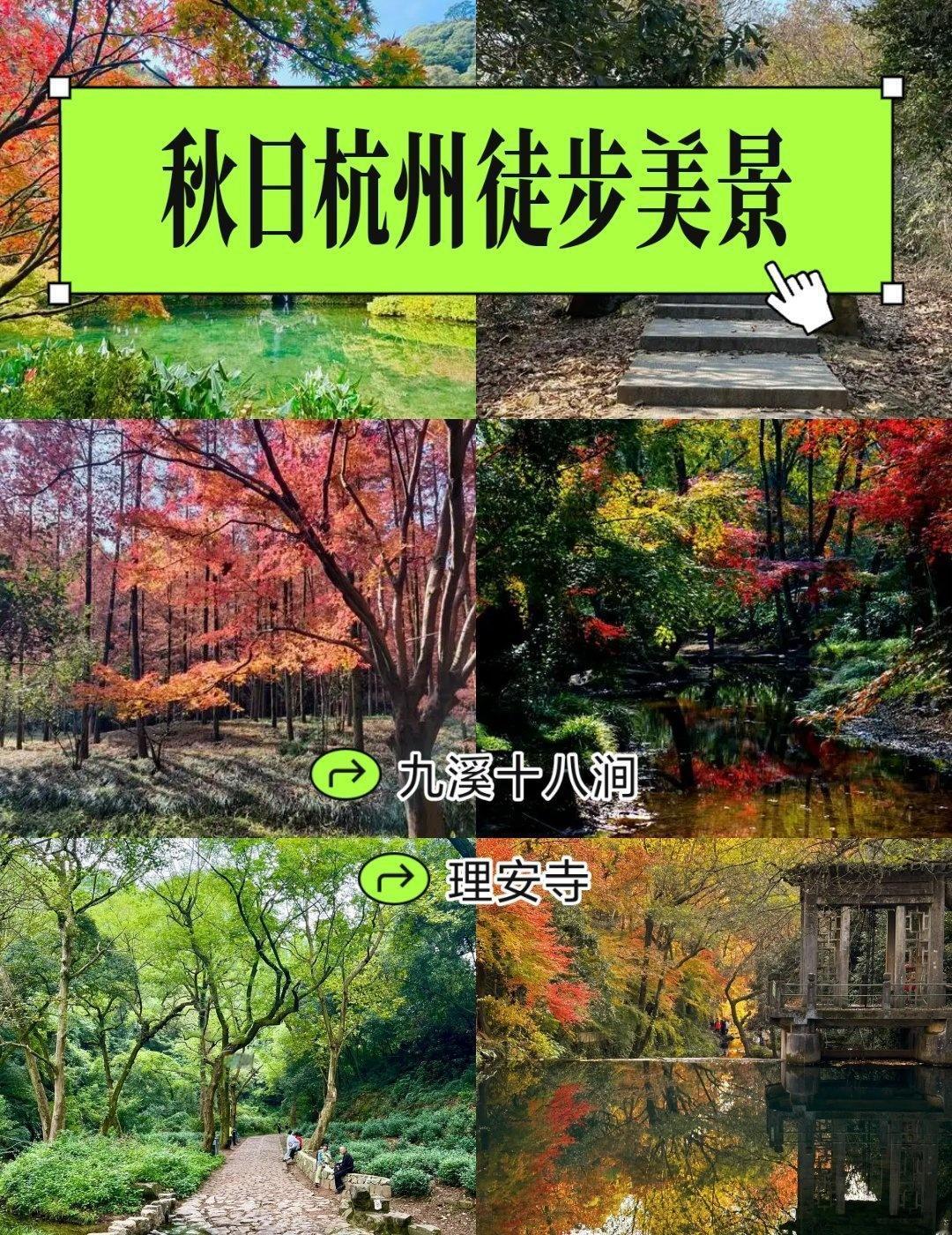 秋日徒步｜杭州九溪！踩满1公里的焦糖落叶路📍南京今天刚刷完九溪的秋日