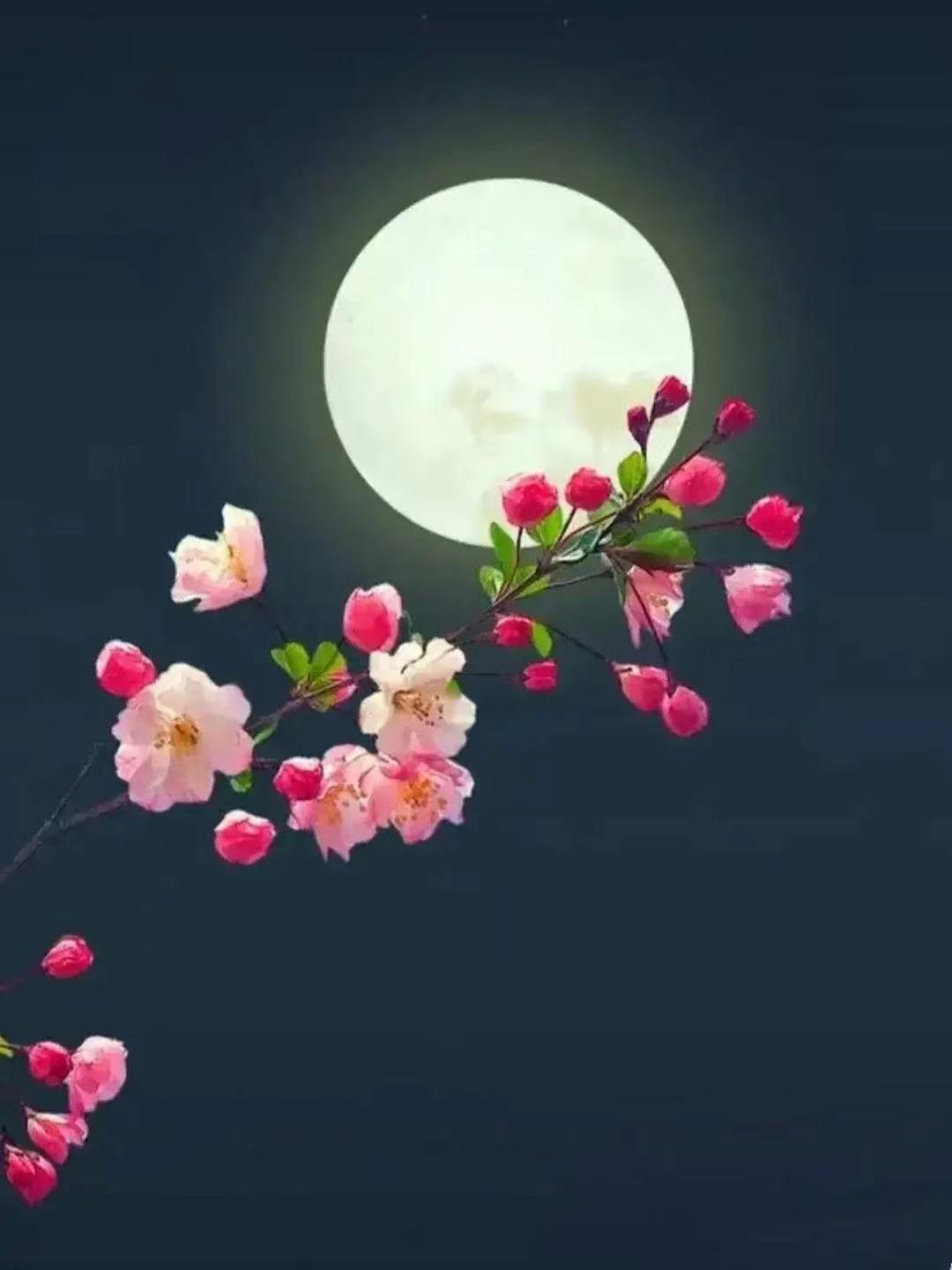 下联：花前赏月月色清。（图片来自网络）