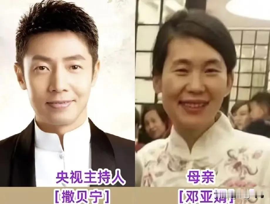 帅气的撒贝宁与母亲长得很像。帅气的杨帆与母亲长得很像。美丽的李思思与母亲长得