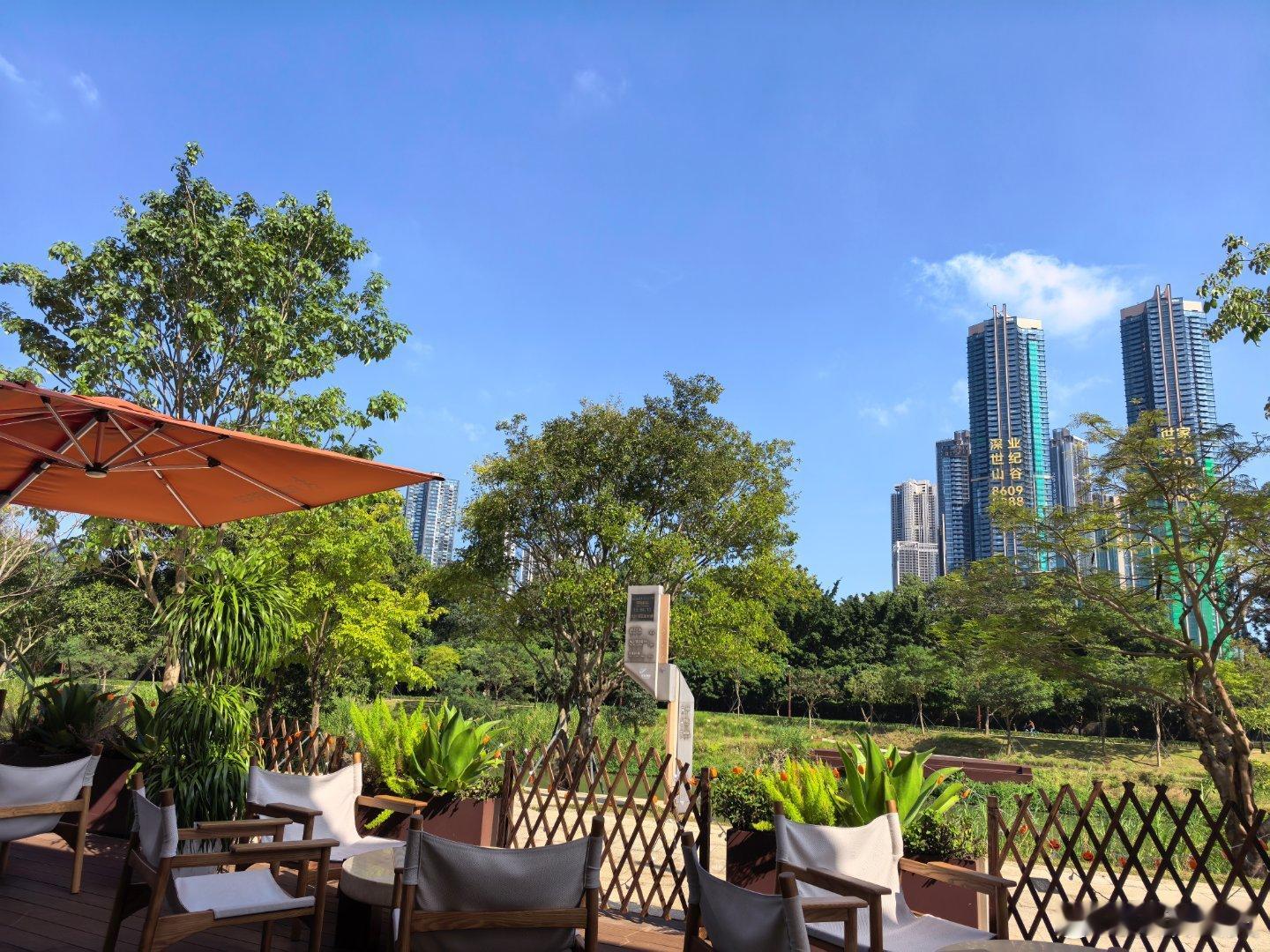 深圳🏙️确实是最好的城市