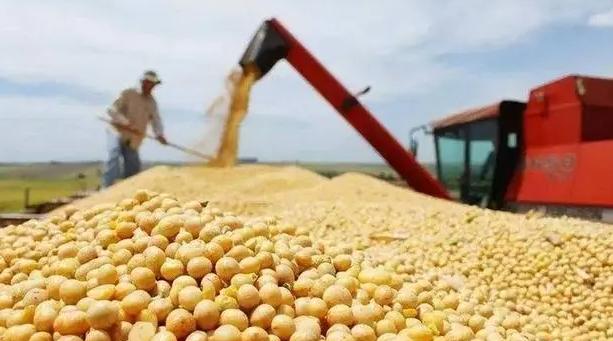 明明俄罗斯就在隔壁，为何之前中国还要绕远买美国巴西的大豆？其实，中国不选俄罗斯大