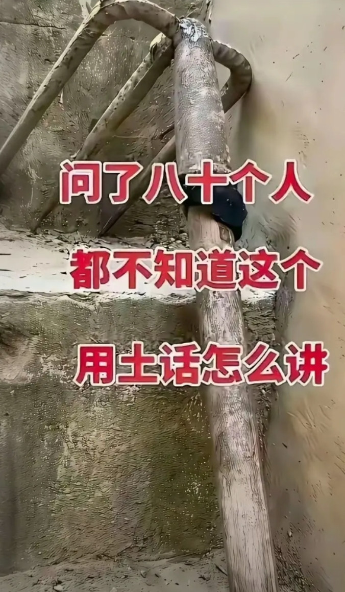 身边的人都问了个遍，这个用土话怎么说？