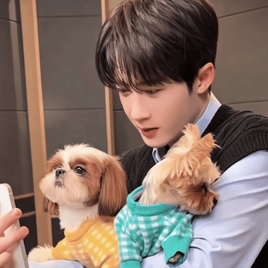 算了算这是呆球进的第八个剧组了，也是可以称得上小戏狗的狗届大咖了！小小年纪资历很