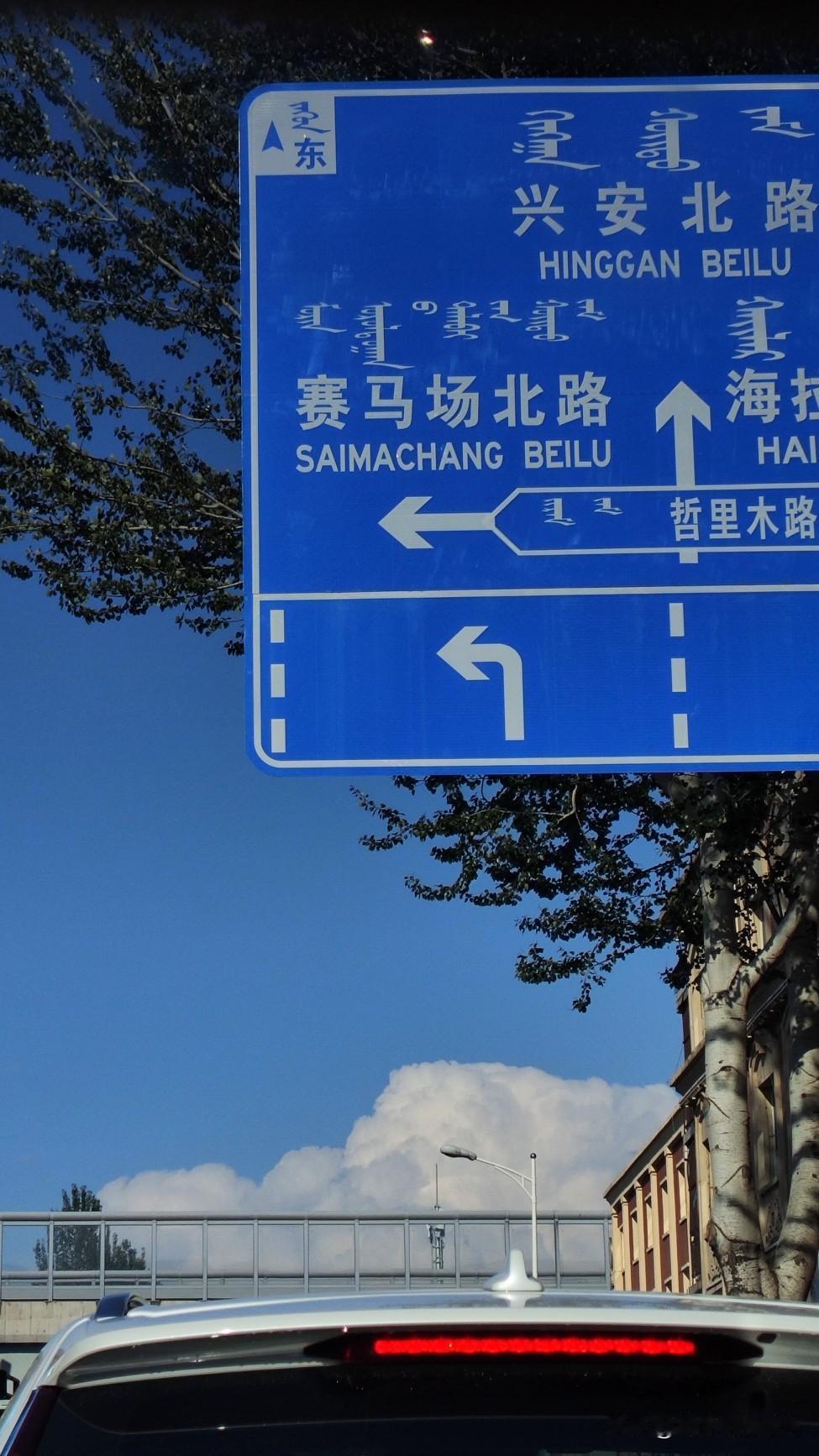白露那天晚上，我在夜宵摊坐到了凌晨一点。老板收了三轮桌子，看了我四眼，我没
