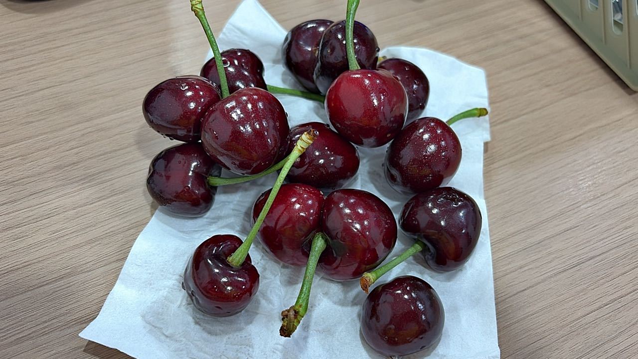 我他爸狂吃吃吃吃吃