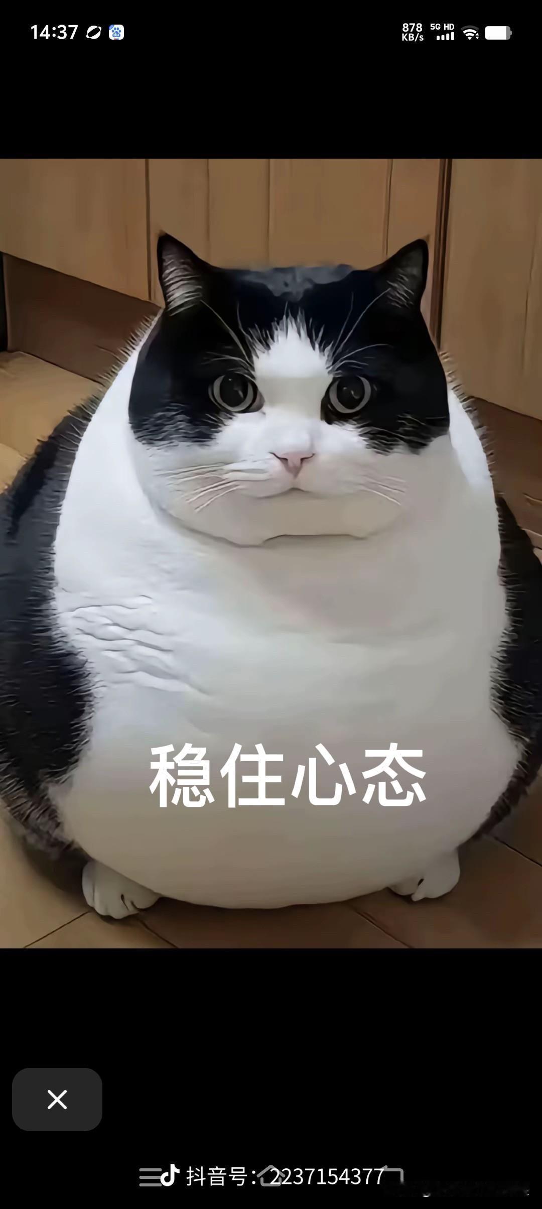 上午10:21，A股早盘冲高回落，全线翻绿，接下来怎么看？现在是上午的10