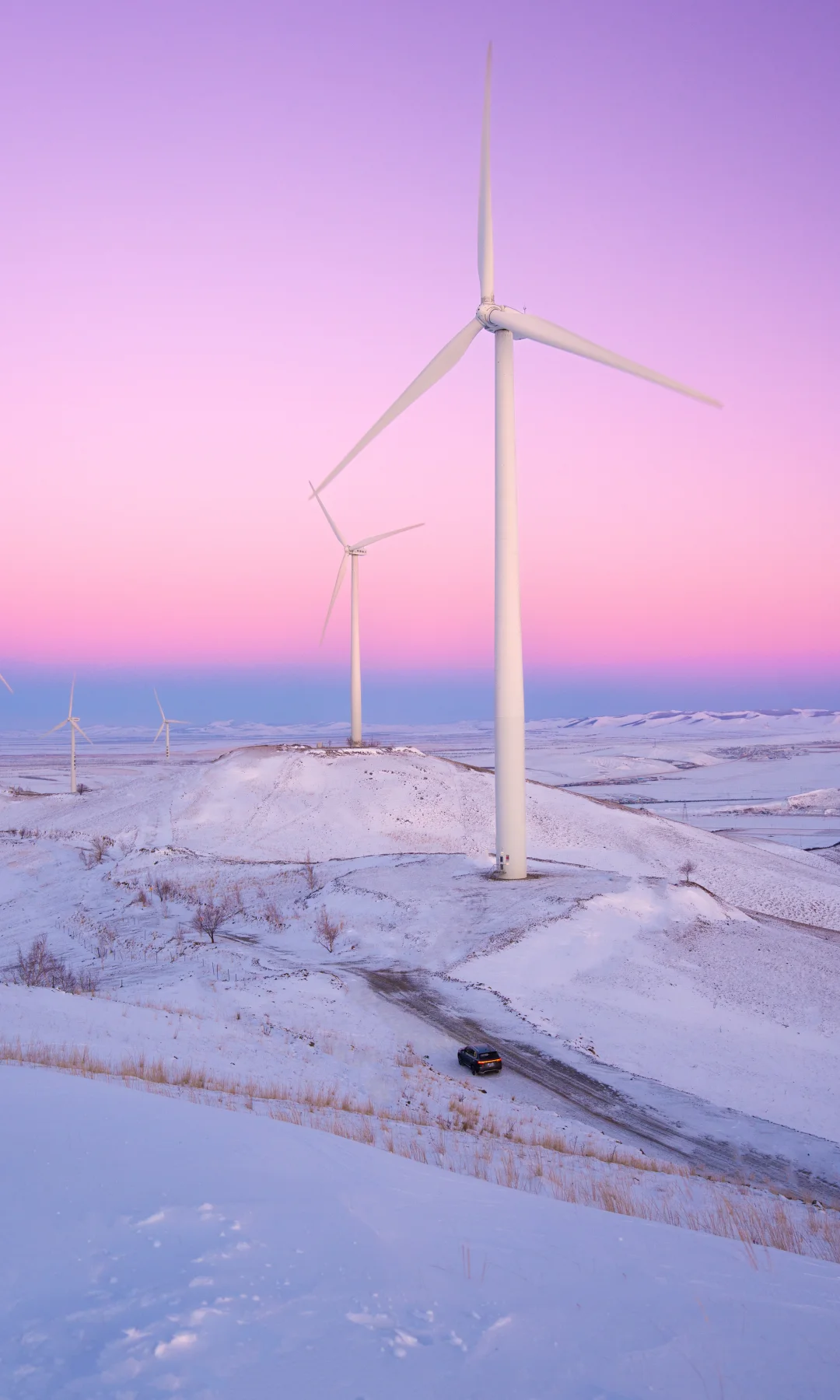 此刻的呼伦贝尔，美成了北国诗篇！！！