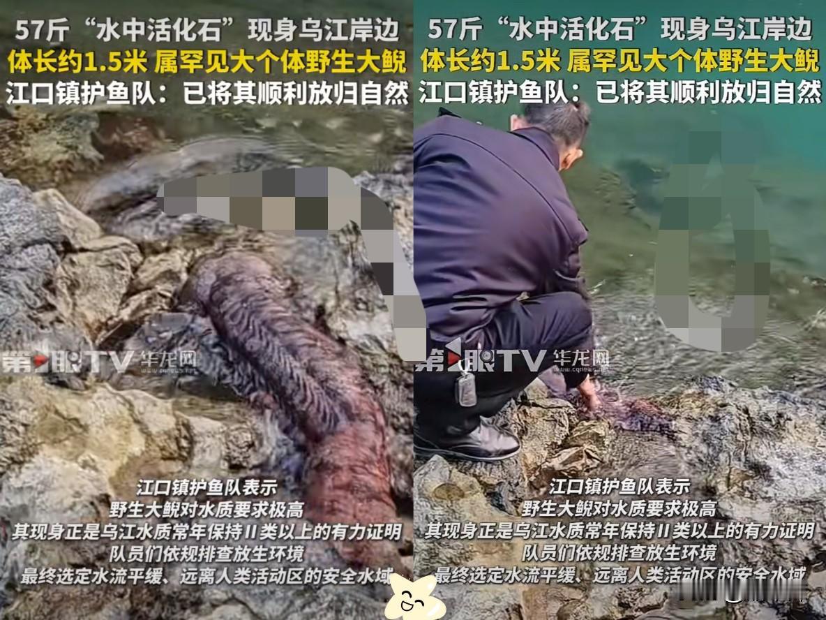“幸亏发现及时！”重庆一村民干活时，突然发现石头缝有动静，他起初以为是“辣条”，