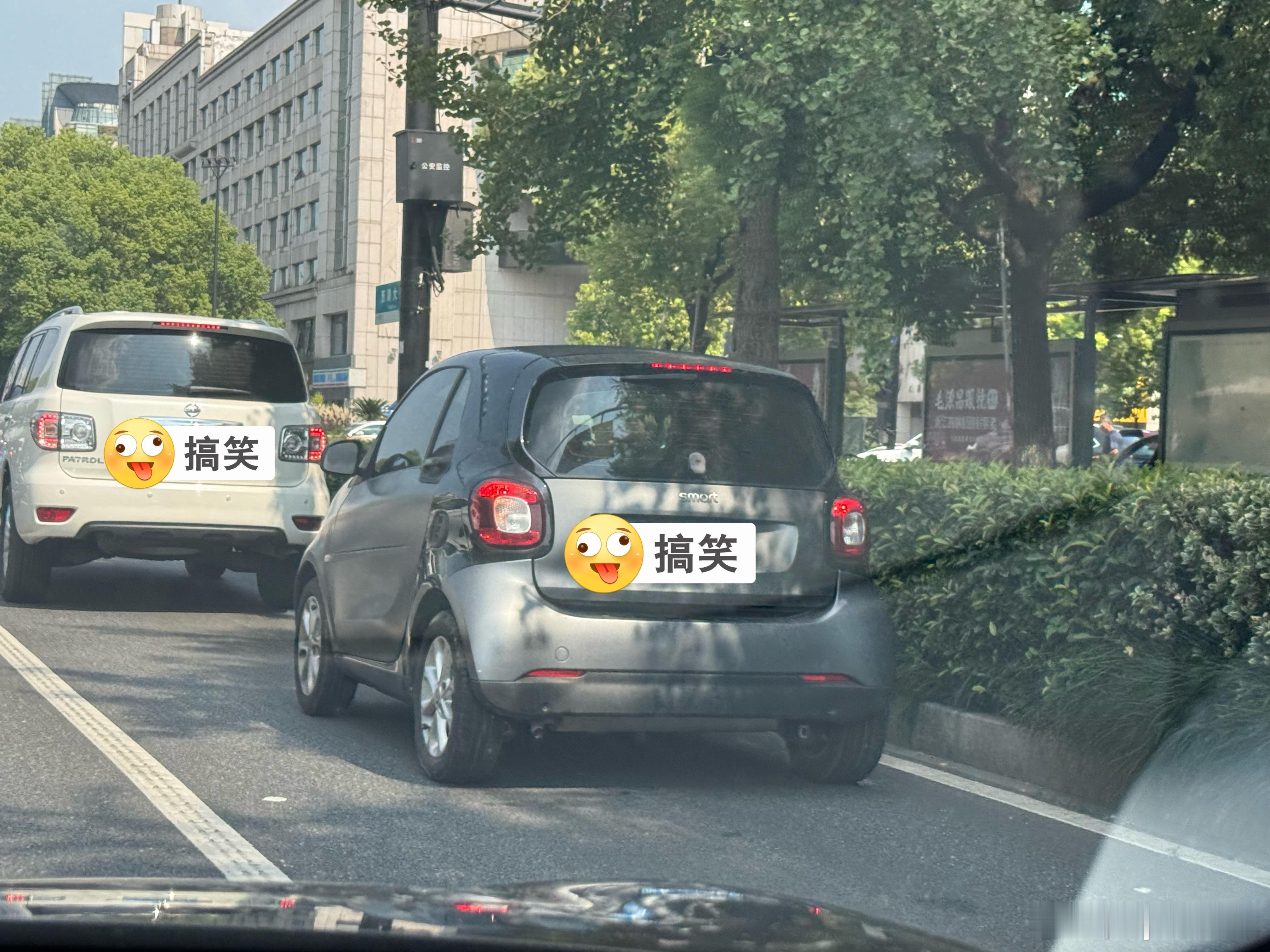 smart这么小的吗有[捂脸哭][捂脸哭]，好小一只微博贴纸​​​