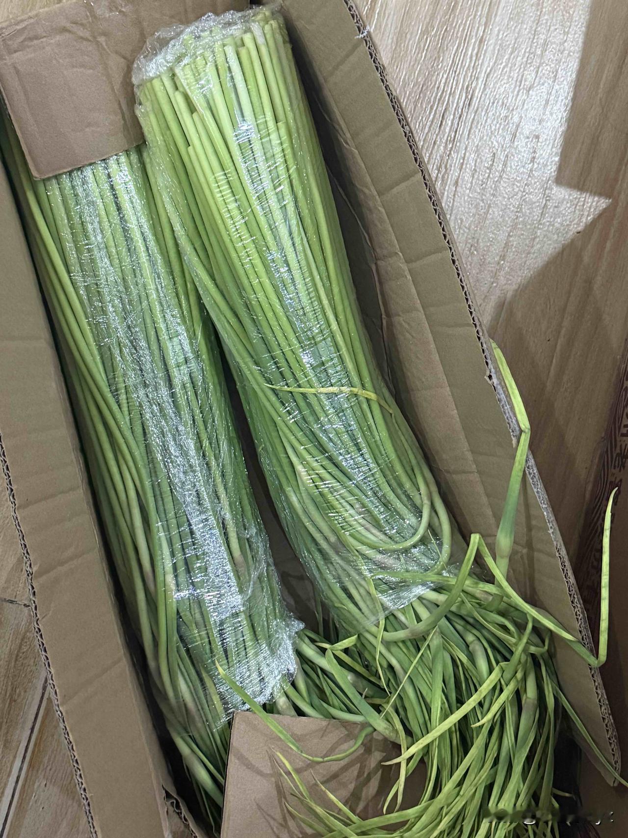最近刷视频全是河南蒜薹吃不完，没记错的话刚出的老贵老贵了，我在市场买至少要七八块