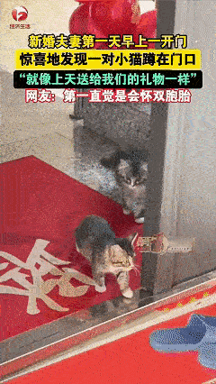 这下解释不清了！黑龙江绥化。一对新人结婚，谁知两人一觉醒来，婚后第一天却发现门口