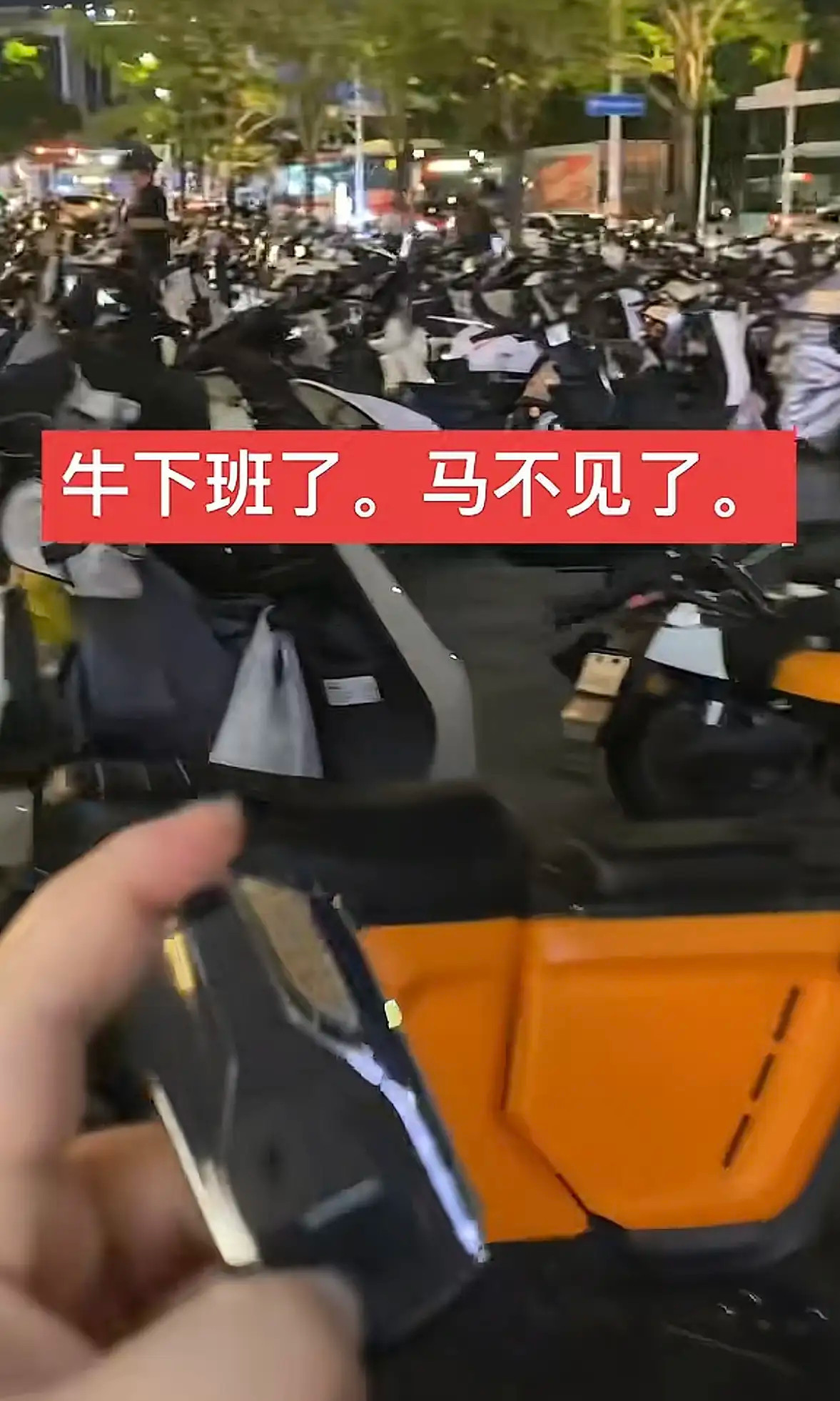 最没用的牛丢了最有用的马马：我拼命叫的时候你在哪？