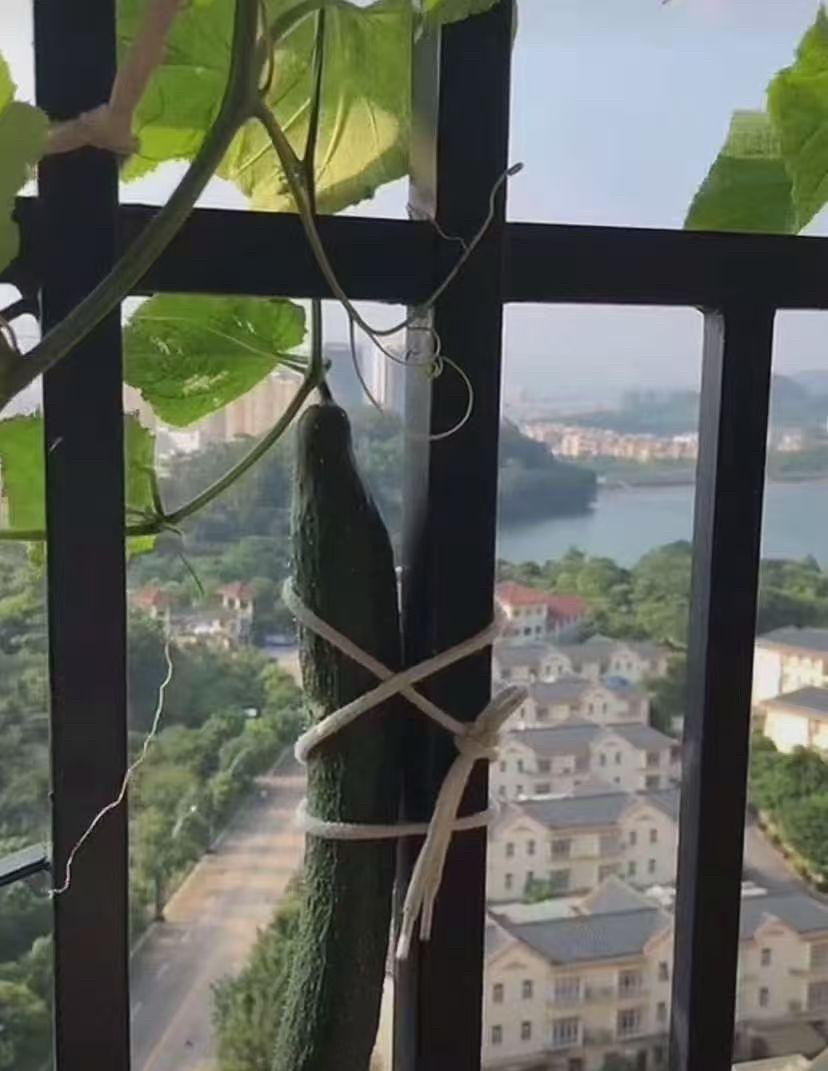 一组超强台风来袭前的准备照！深圳市现在还出着太阳呢但17级的台风说来就来：