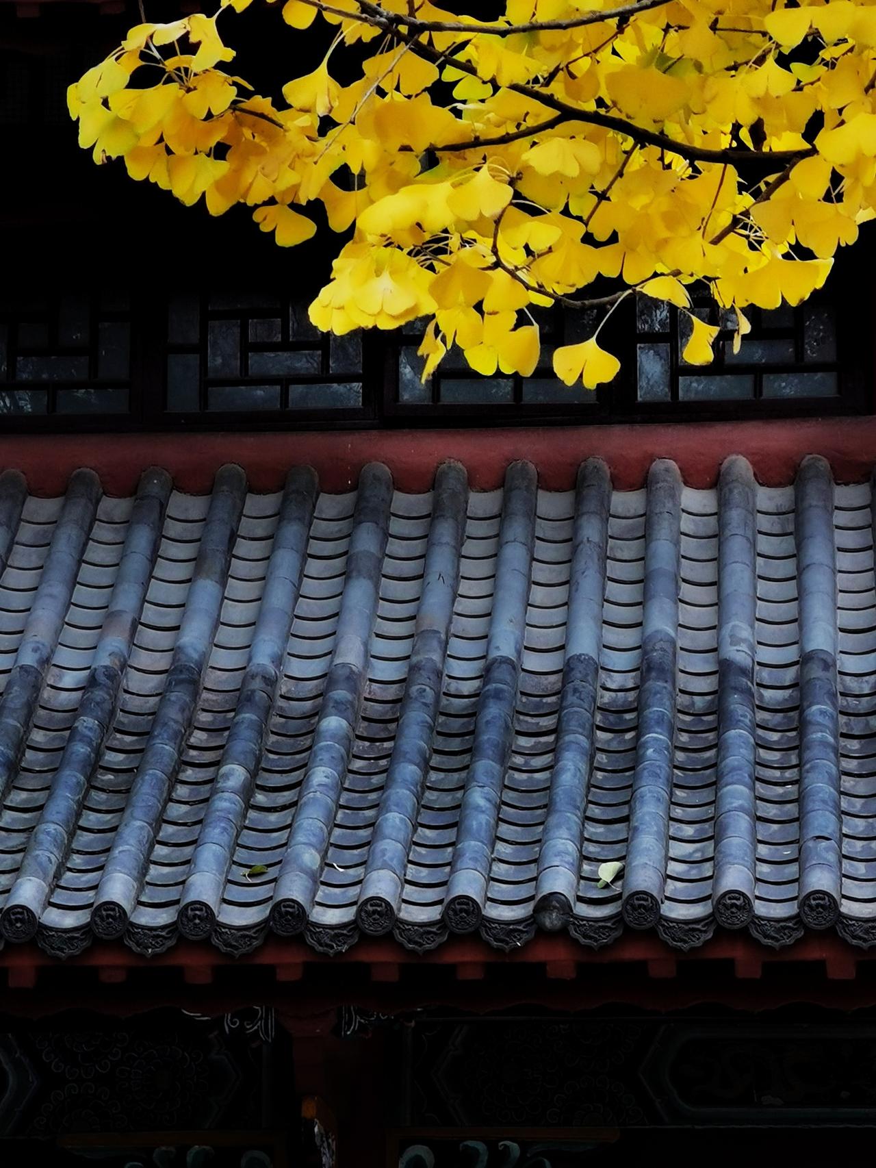 “众生畏果，菩萨畏因。若知心念虚妄，何有恐惧挂碍？”《金刚经》这句话太有深意了