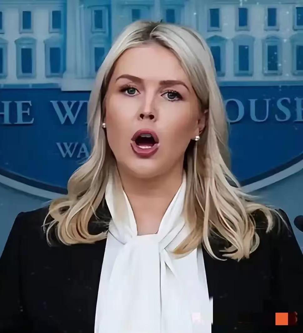 28岁白宫女发言人怀二胎，挺着孕肚扛高压工作太拼又怀上了。白宫美女发言人莱