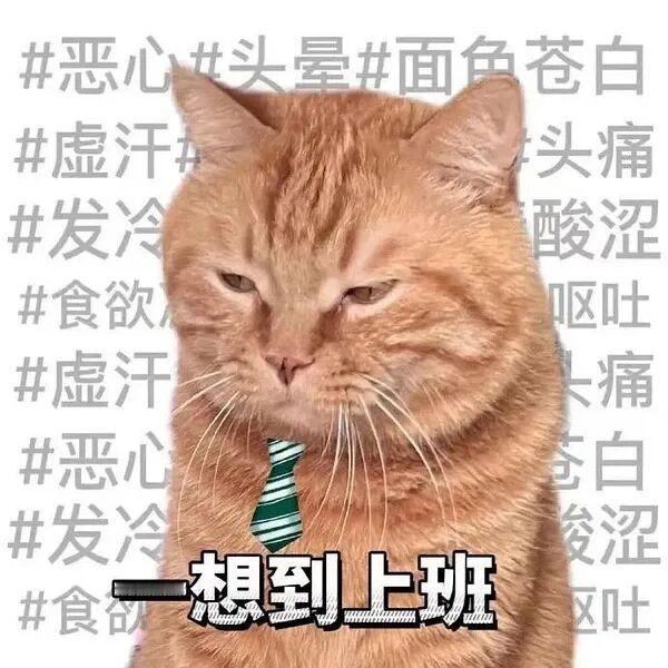 五月的风很温柔，只有上班对我下死手。