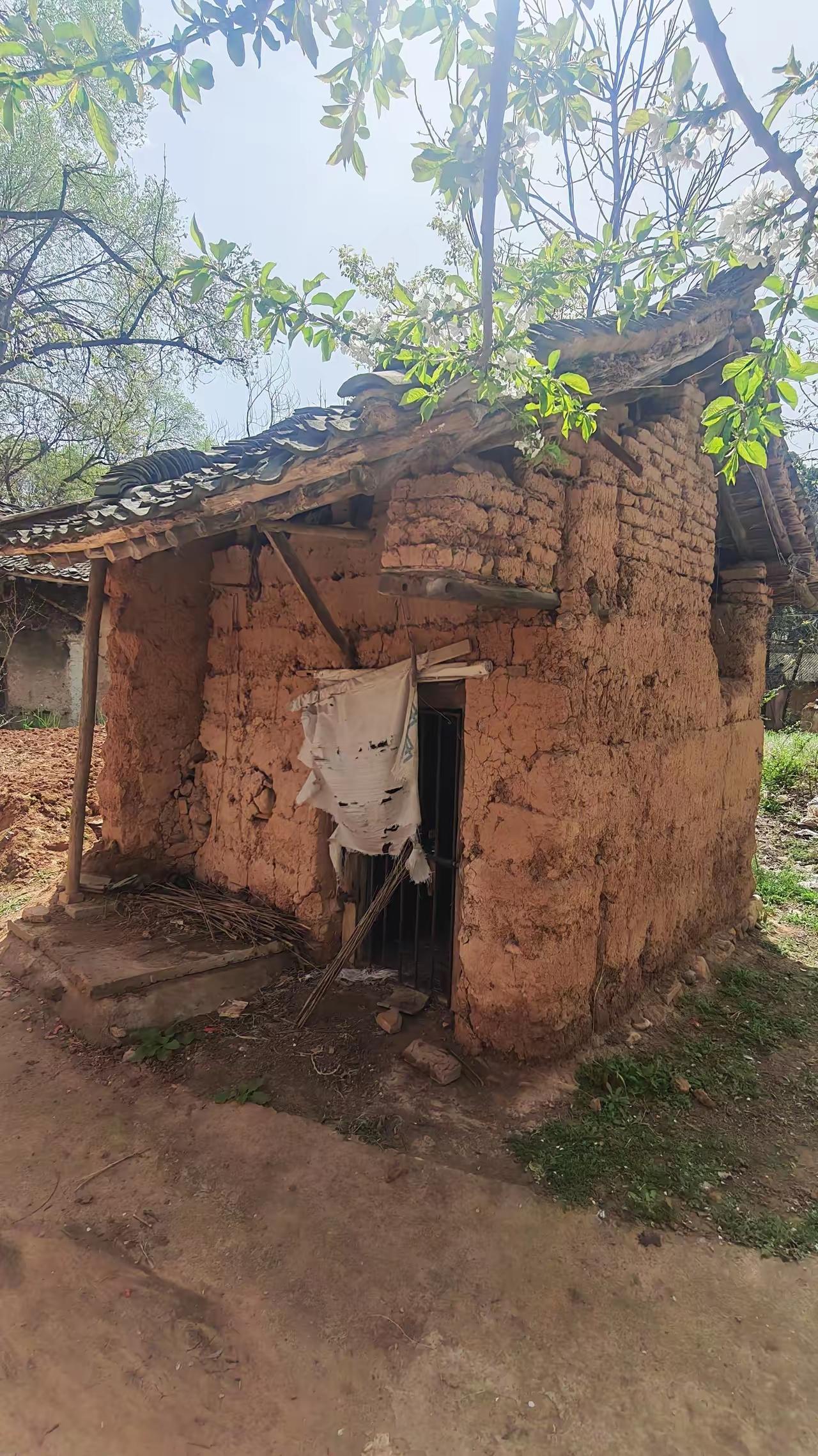 我想和村上的支书商量个事，就是村上现在闲置的宅基地越来越多了，很多都是房倒屋塌，